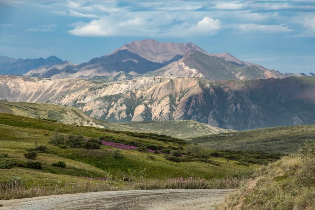 alaska, denali, national park