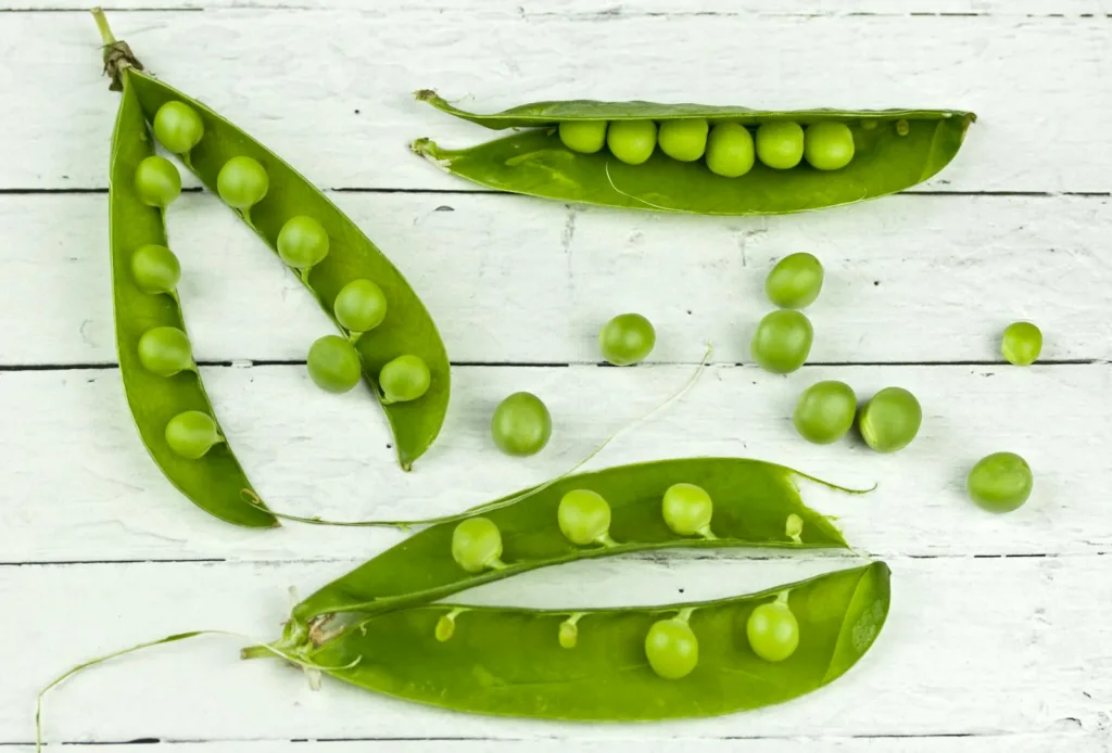 Green Peas