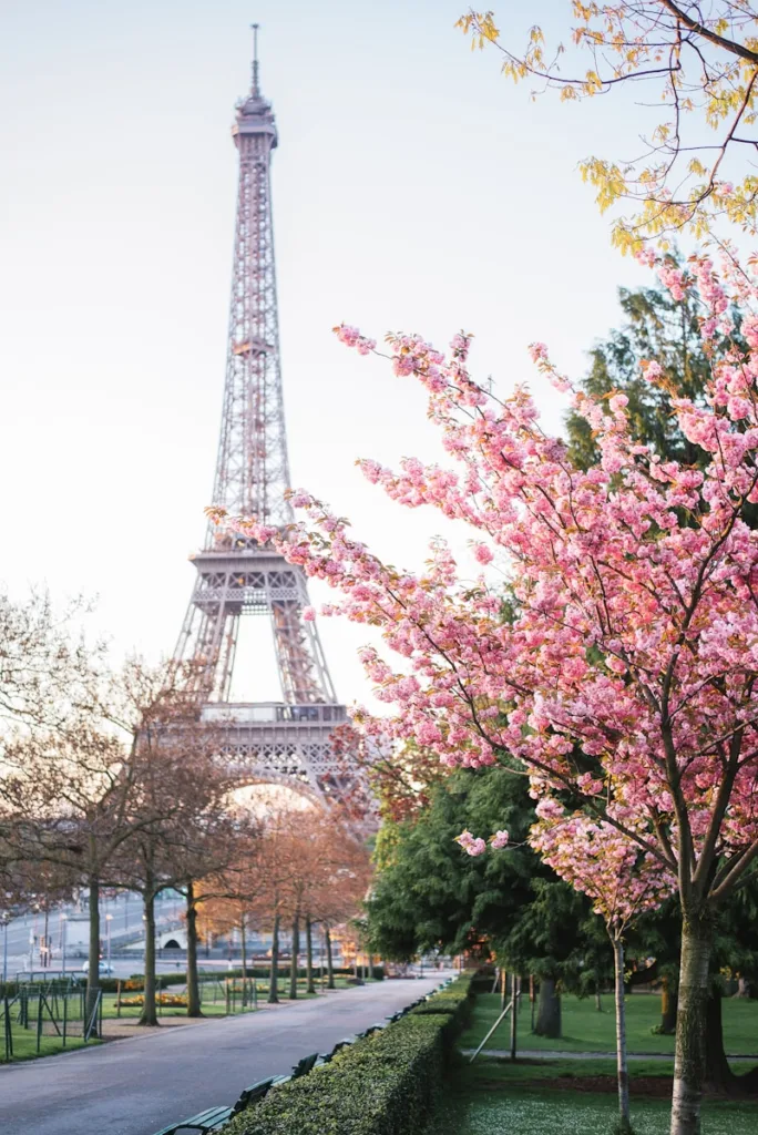 the eiffel tower towering over the city of paris