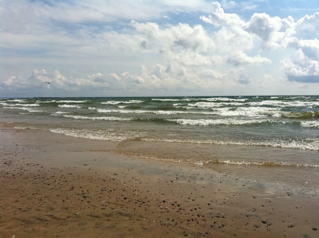 beach, water, lake